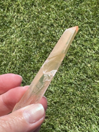 Peach Lemurian 8