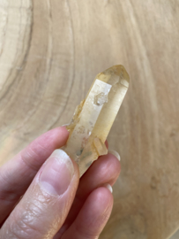 Tangerine Lemurian 15