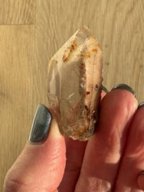 Lemurian (Red Coated) Dreamtime Healers 11