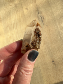 Lemurian (Red Coated) Dreamtime Healers 6