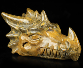 Dragon skulls