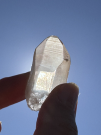 Peach Lemurian 19