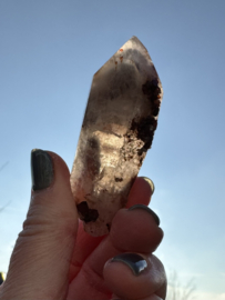 Lemurian (Red Coated) Dreamtime Healers 3