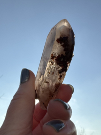 Lemurian (Red Coated) Dreamtime Healers 3