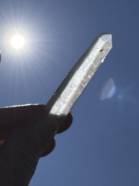 Peach Lemurian 9