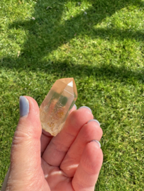 Citrien Lemurian 14