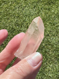 Peach Lemurian 7
