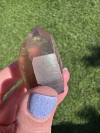 Lemurische Rookkwarts 9