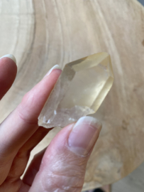 Tangerine Lemurian 29