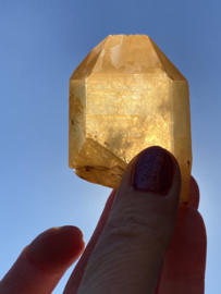 Tangerine Lemurian TL 3