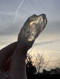 Lemurian Code Keeper of Transformation / UV Amethist Lemurian Root 9