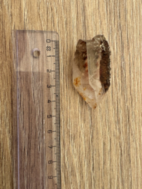 Lemurian (Red Coated) Dreamtime Healers 11