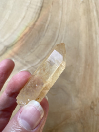 Tangerine Lemurian 9