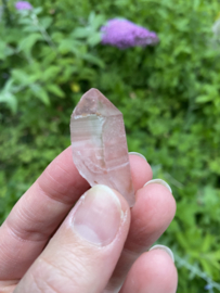 Pink Lemurian / Roze Lemurische Laser 17