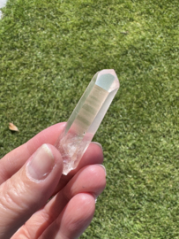 Peach Lemurian 22