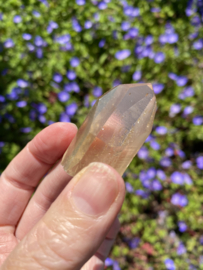 Citrien Lemurian 10