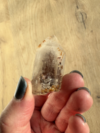 Lemurian (Red Coated) Dreamtime Healers 7