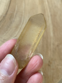 Tangerine Lemurian 16