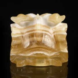 Dragon skull yellow calcite 12 cm