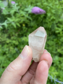 Pink Lemurian / Roze Lemurische Laser 10