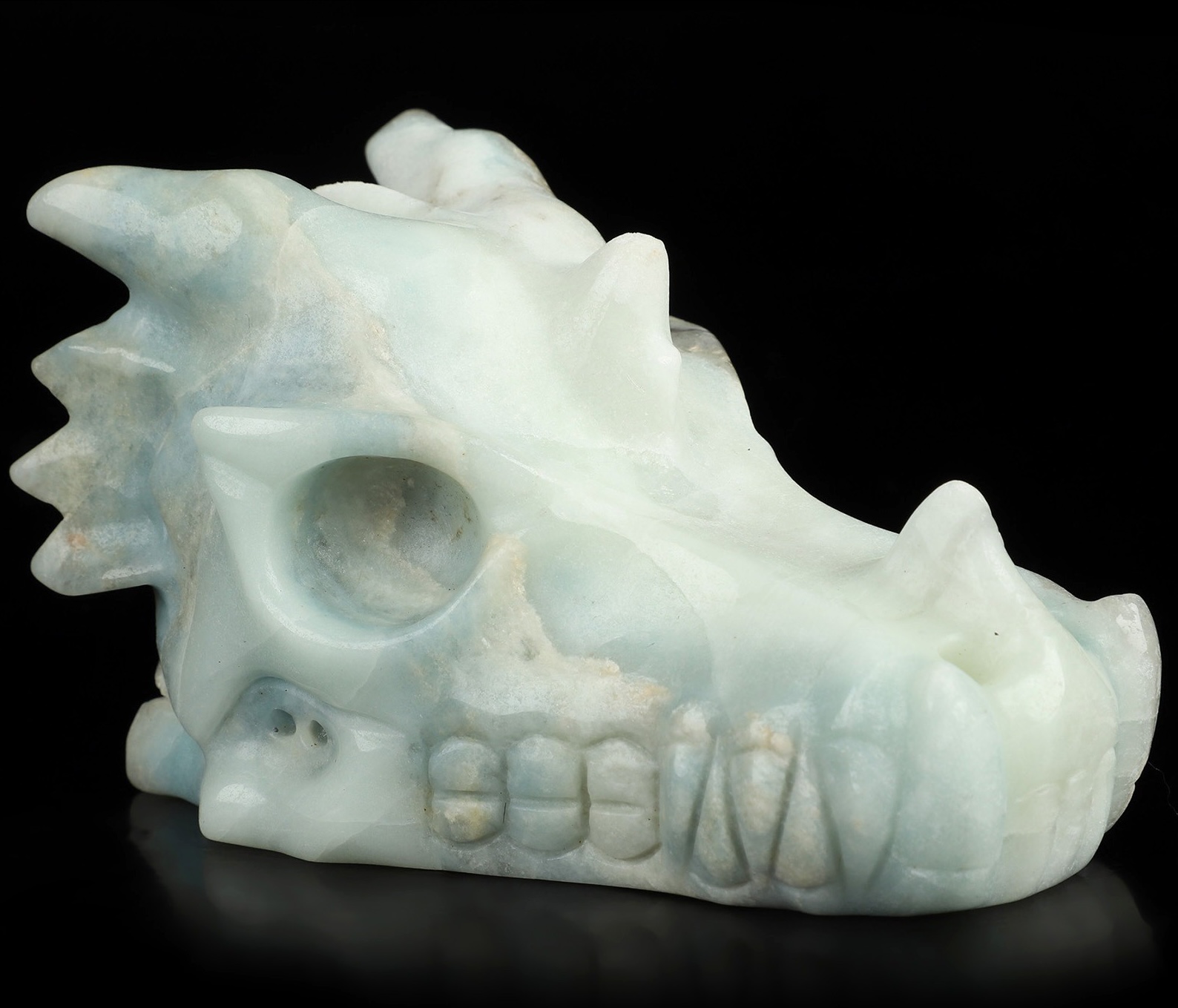 Dragon skulls