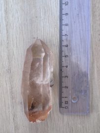 Peach Lemurian 1