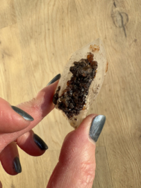 Lemurian (Red Coated) Dreamtime Healers 7