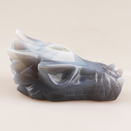 Drakenskulls