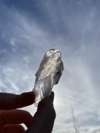 Lemurian Root / Code Keeper of Freedom 13