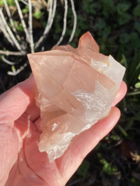 Pink Lemurian - cluster 2