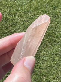 Peach Lemurian 3