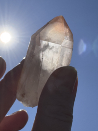Peach Lemurian 6