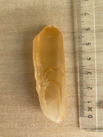 Tangerine Lemurian 6