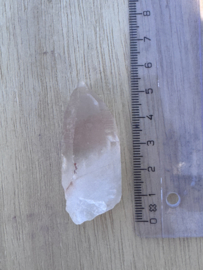 Peach Lemurian 18