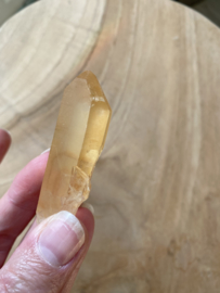 Tangerine Lemurian 6