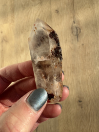 Lemurian (Red Coated) Dreamtime Healers 3