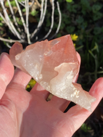 Pink Lemurian - cluster 2