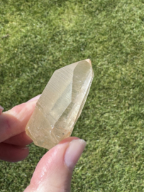 Golden Healer Lemurian 6
