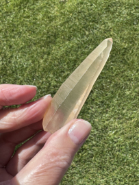 Golden Healer Lemurian 5