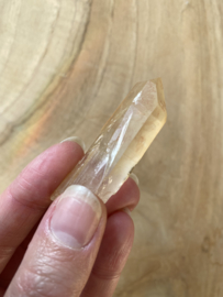 Tangerine Lemurian 10