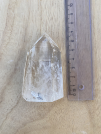 Lemurian Staand 2