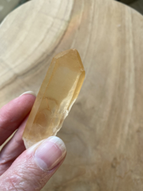 Tangerine Lemurian 6