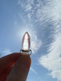 Pink Lemurian Hangertje 6