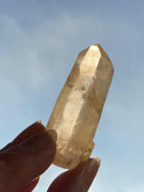 Tangerine Lemurian 9