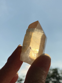 Tangerine Lemurian 12