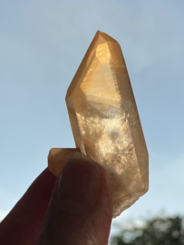 Tangerine Lemurian 5