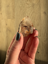 Lemurian (Red Coated) Dreamtime Healers 8