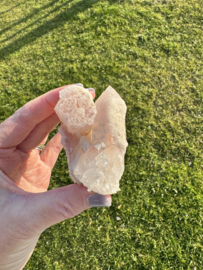 Sugar Blade Lemurian 1