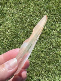 Peach Lemurian 8
