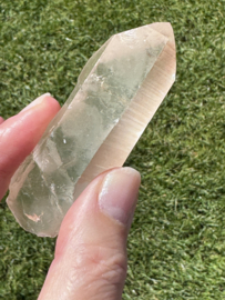 Peach Lemurian 2